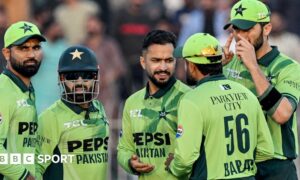 Pakistan's players celebrate taking a wicket against South Africa during a one-day international in November 2025