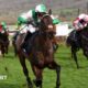 Racing at Cheltenham